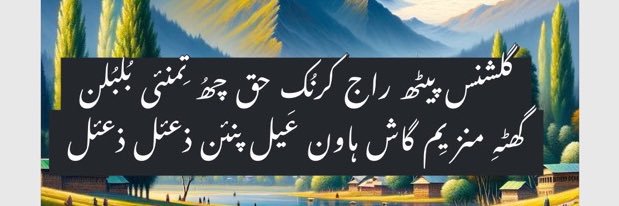 Pheran Girl banner