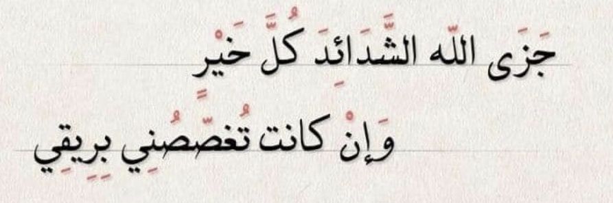 محمد بن زيد banner