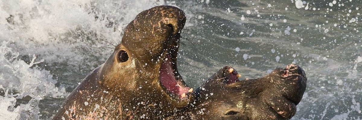 MollyRen's profile banner image