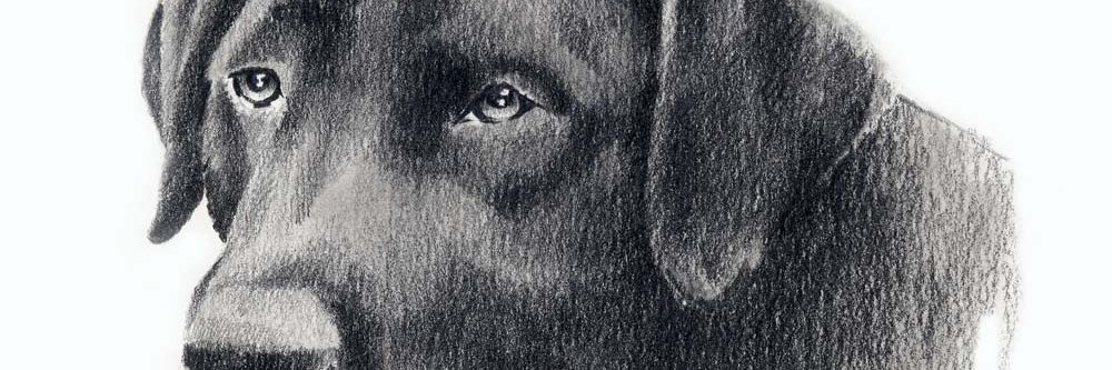termofro's profile banner image