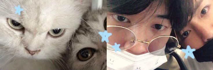 taeskibidi's profile banner image
