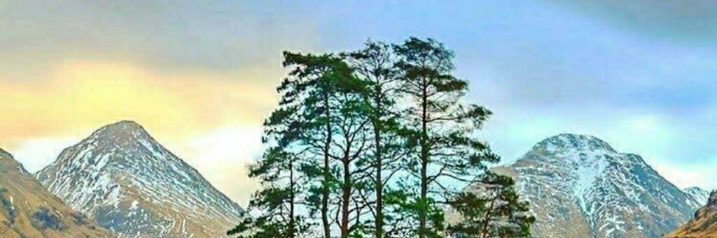 onkar1710's profile banner image