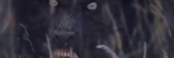 johnyrook Profile Banner