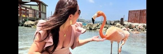 Fifi_astudillo's profile banner image