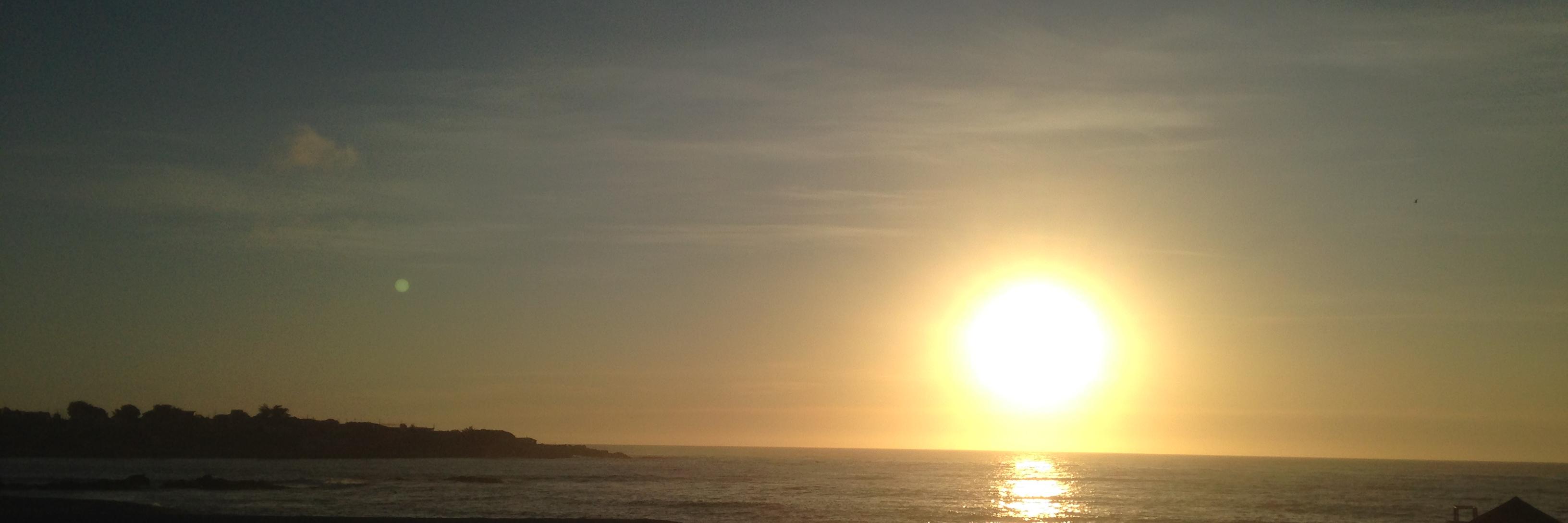 Francisco J. Araya banner