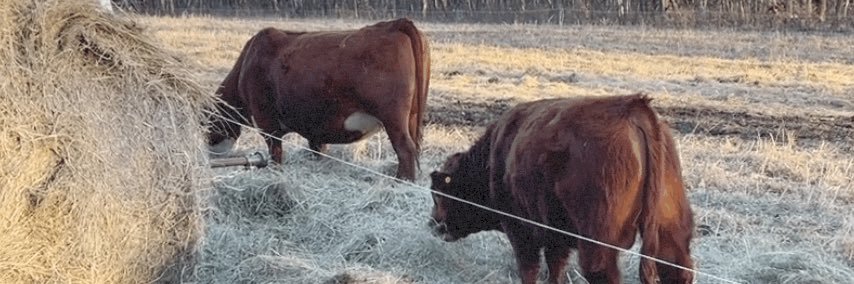 Granmanranch's profile banner image