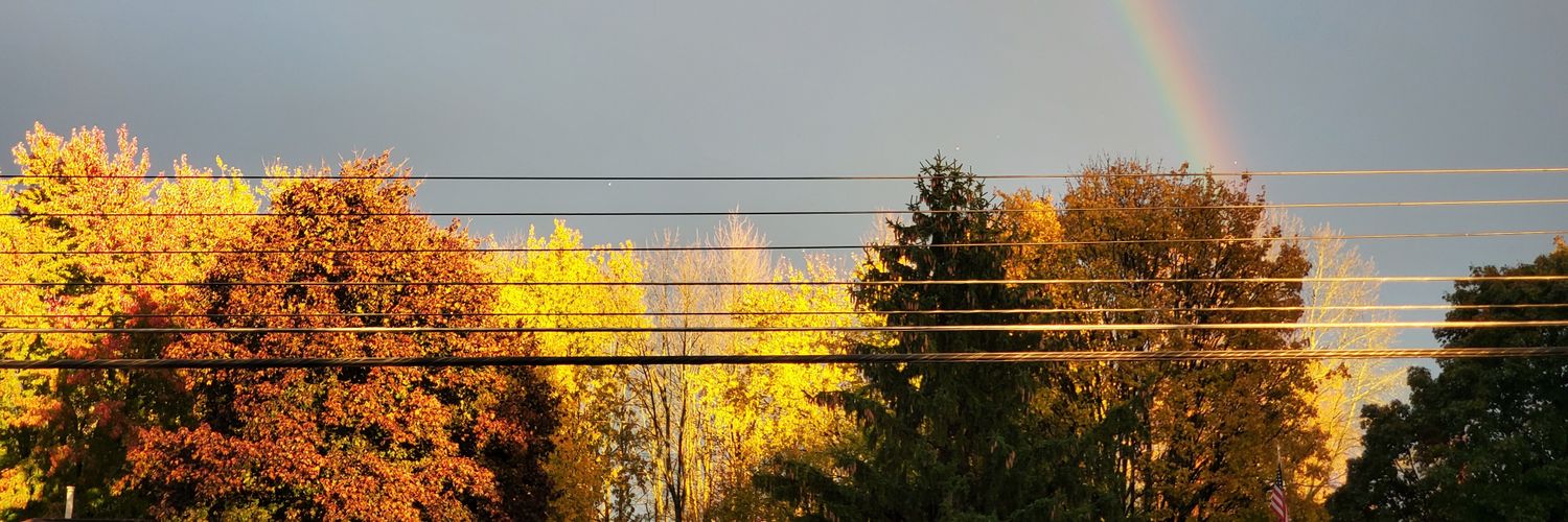 Meaghan McDermott banner