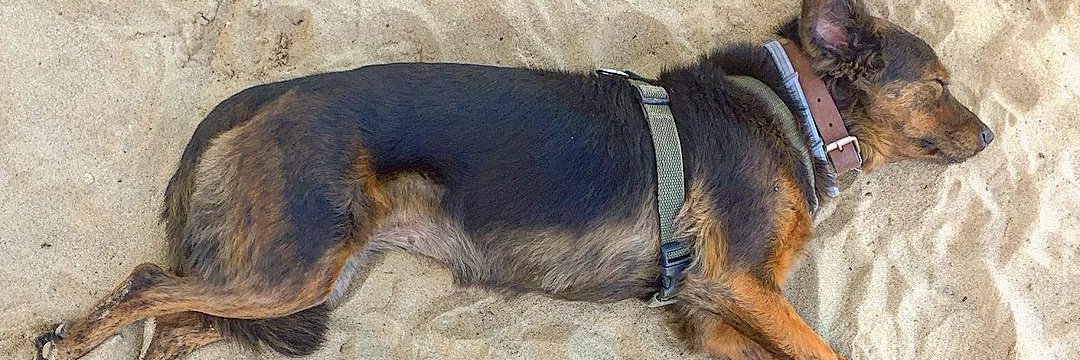 Peniche 🇧🇷🧢 1️⃣3️⃣ * 🔴⚪⚫ * 🏈 * ☘️ banner