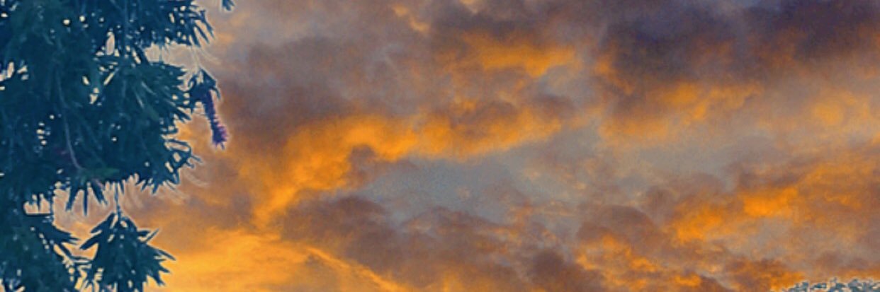 VictoriaKelton's profile banner image