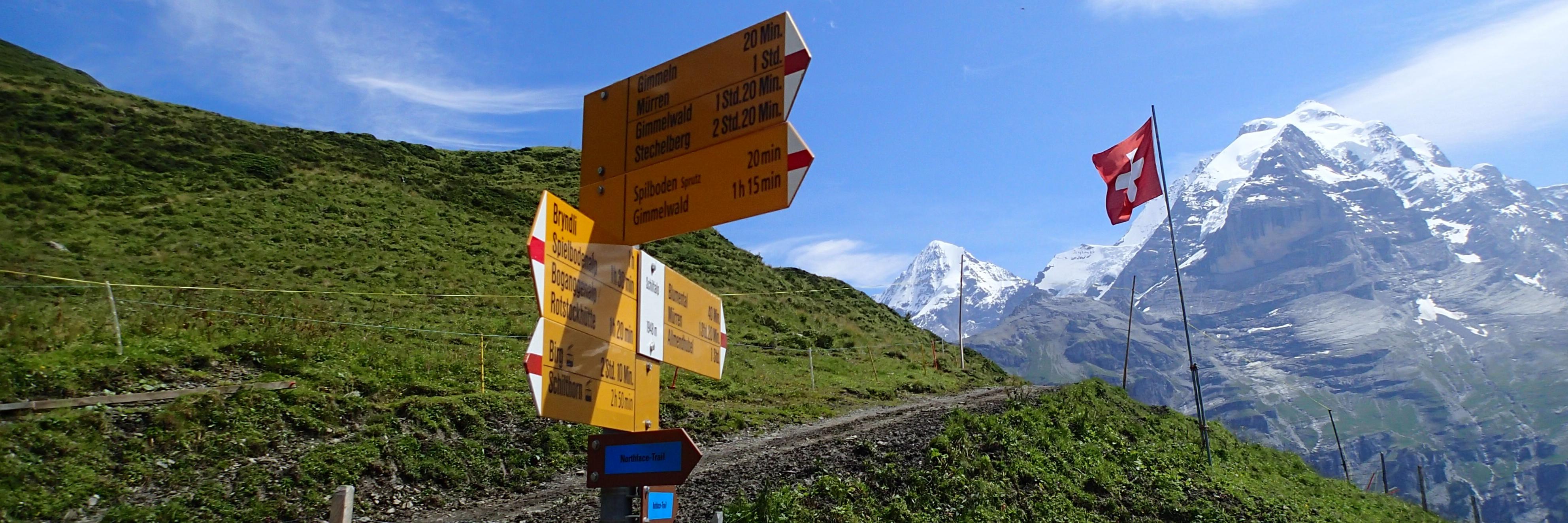 Robert Elliott banner