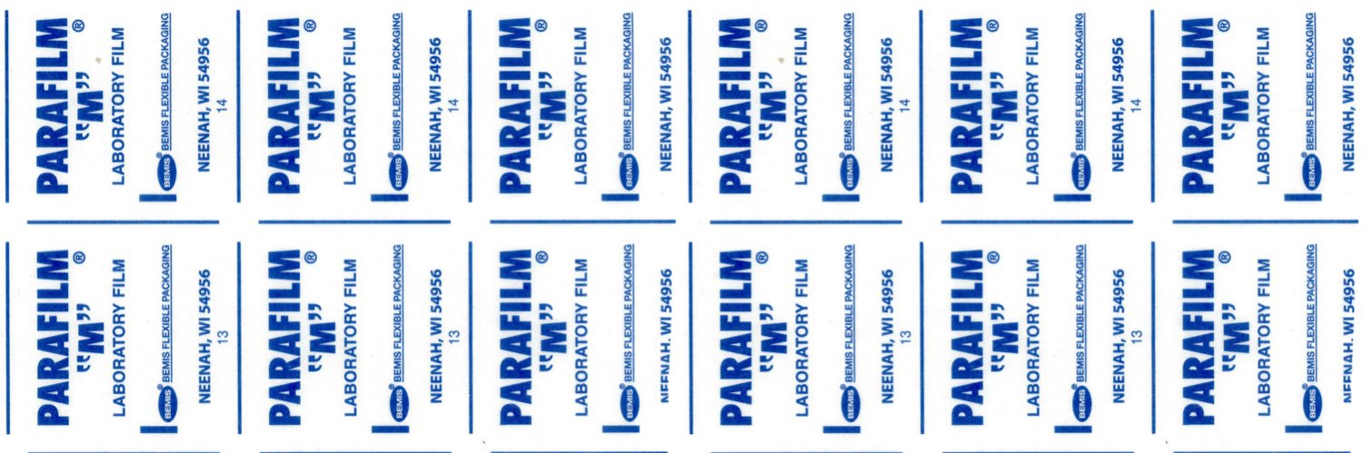 Ernesto Llamas banner