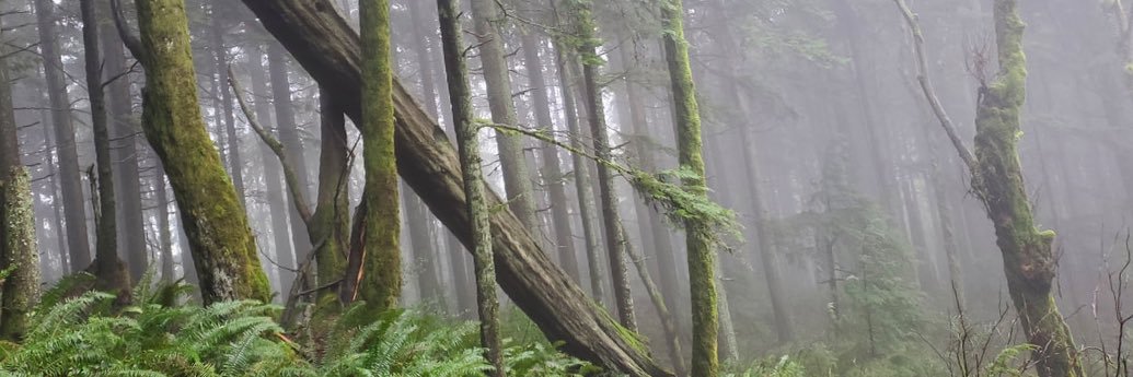 Dale Cooper Mode banner