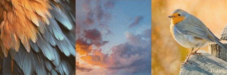 ` 𝓟𝓻𝓲𝓶𝓮'´ banner
