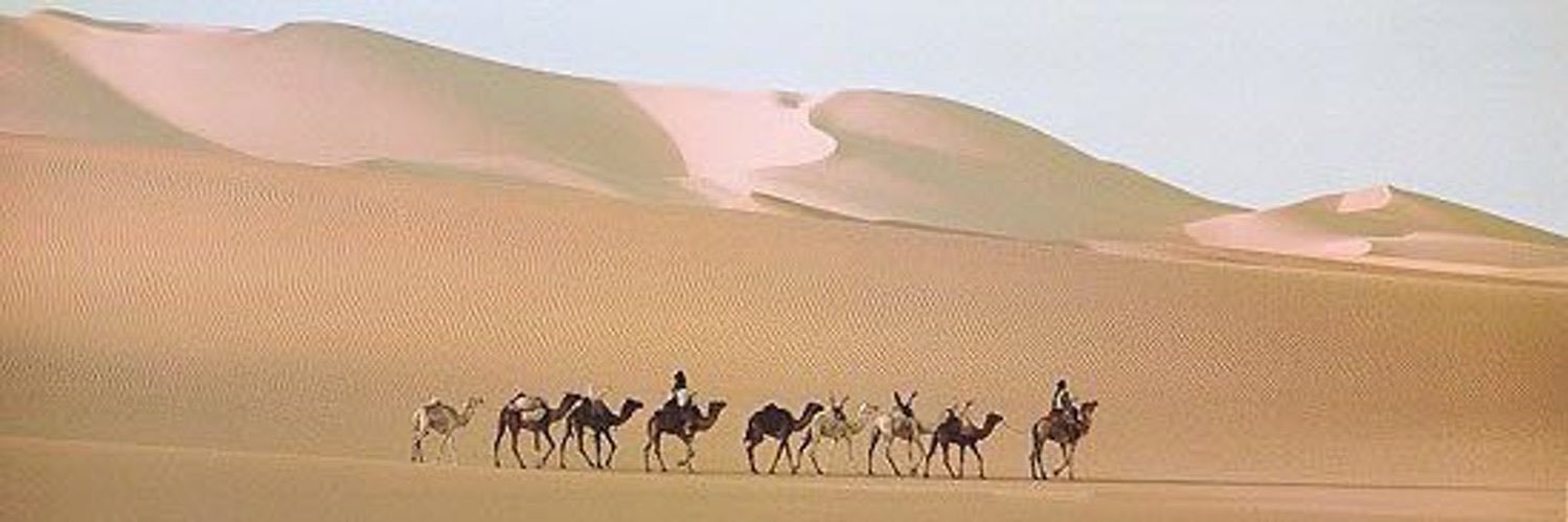 عبدالرحمن الغامدي banner