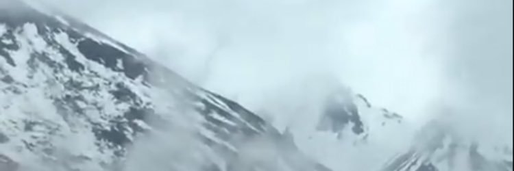 Leela satya banner