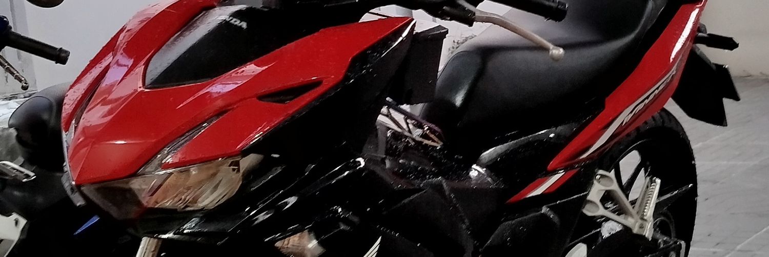 Beargray040724's profile banner image