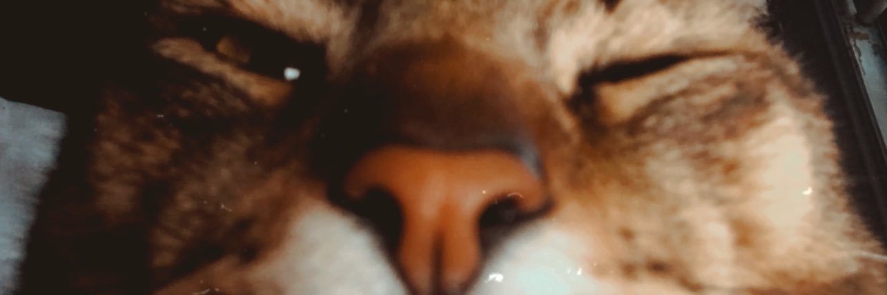 adrianate98's profile banner image
