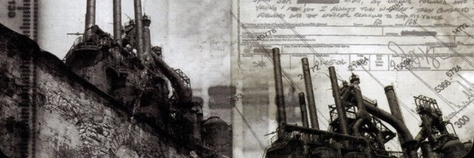 chicken boy 🐓 banner