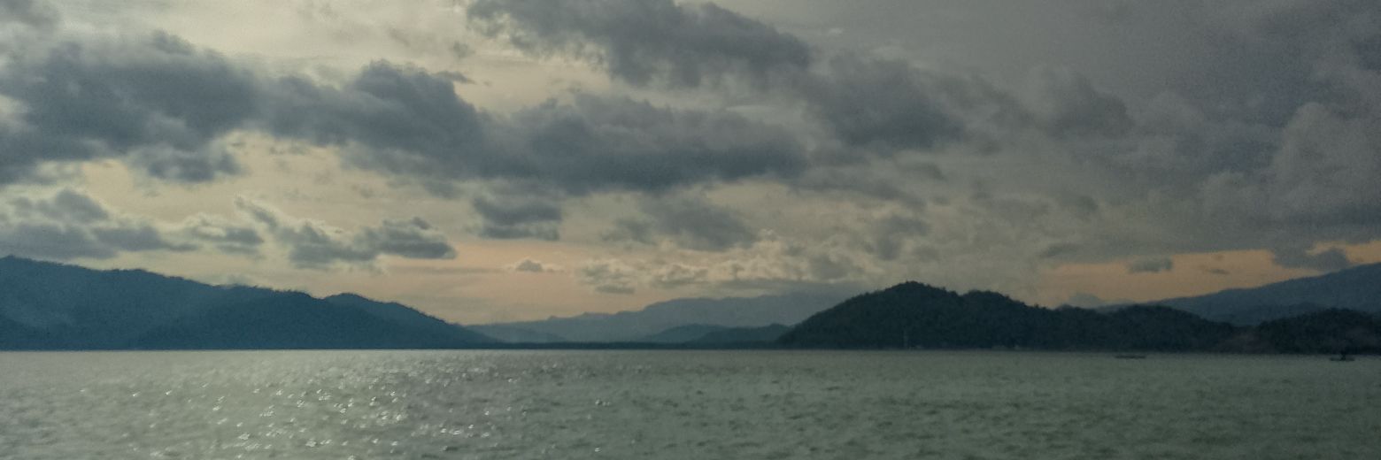 loopywise's profile banner image
