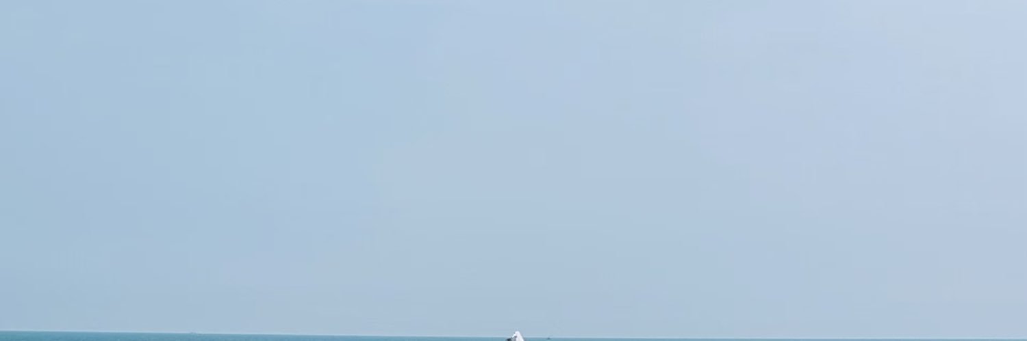 SYXL666's profile banner image