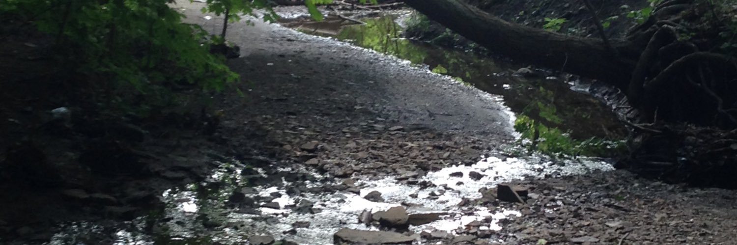 DuncOne's profile banner image