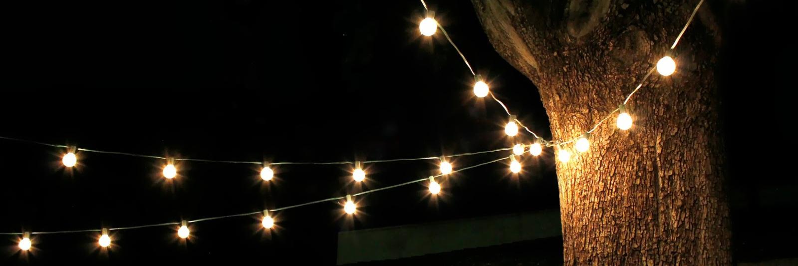 neeedzzz's profile banner image