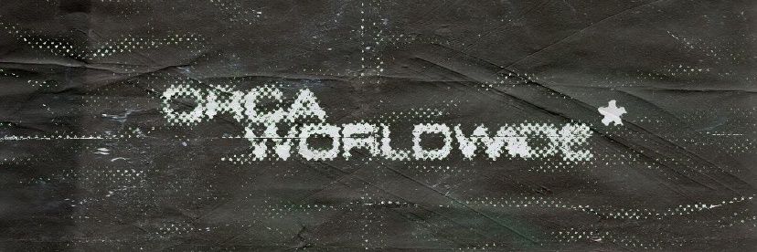 prollynotkoba banner