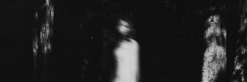 天 banner