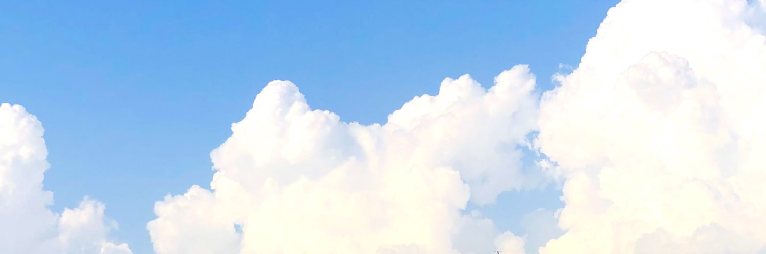 メタボリック's banner