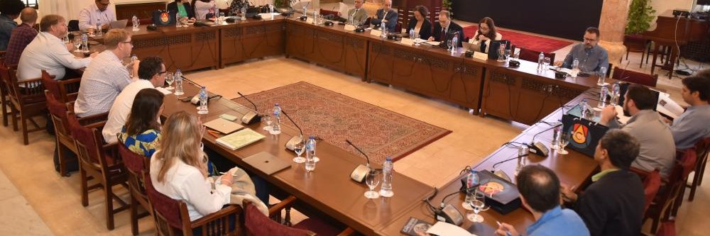 Pathways Beyond Neoliberalism: Voices From MENA banner