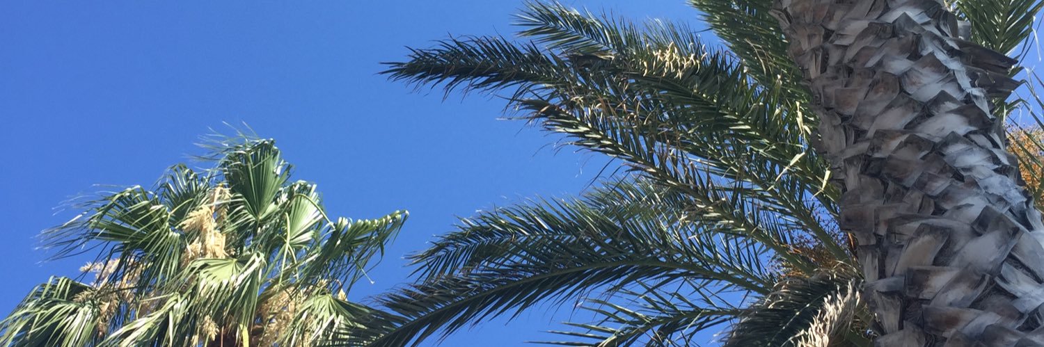 mel_hqz's profile banner image