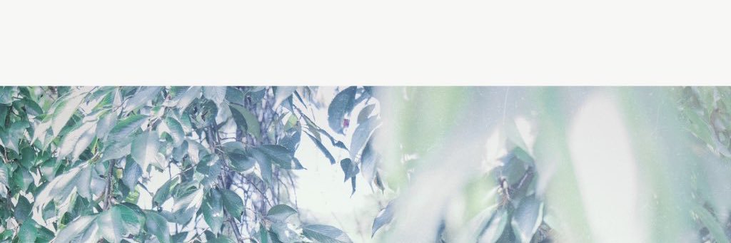 青▶︎🏷️お迎え中's banner