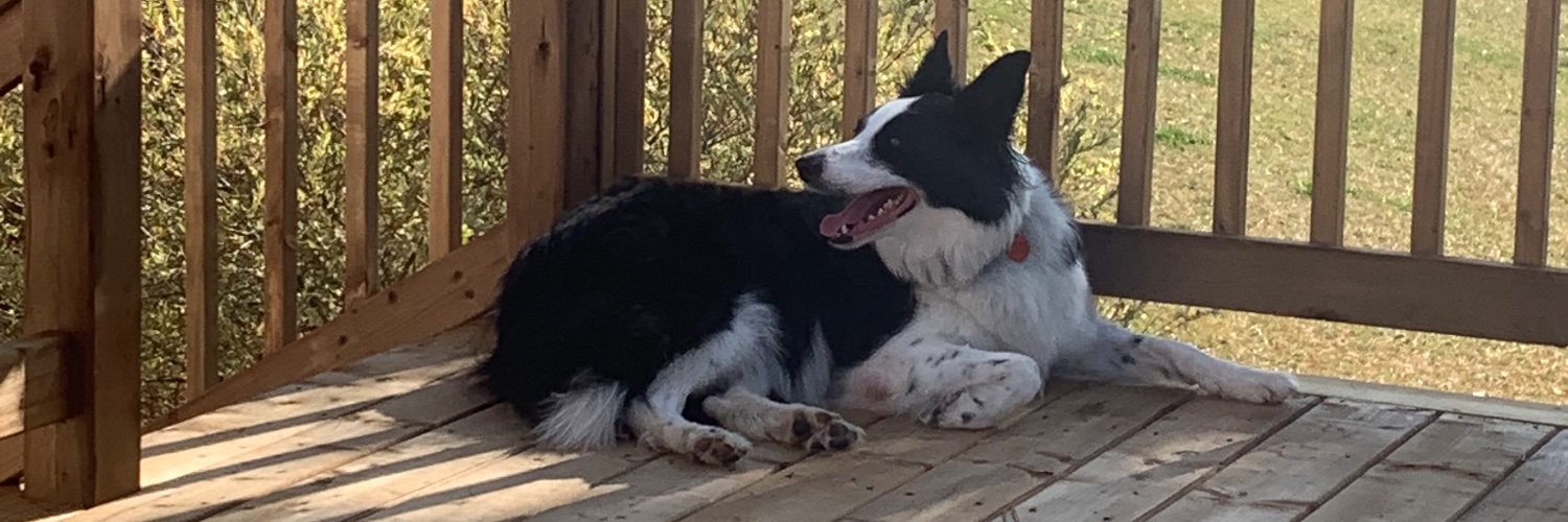 owenfrank-Pablo&Banksy 🇨🇦 banner