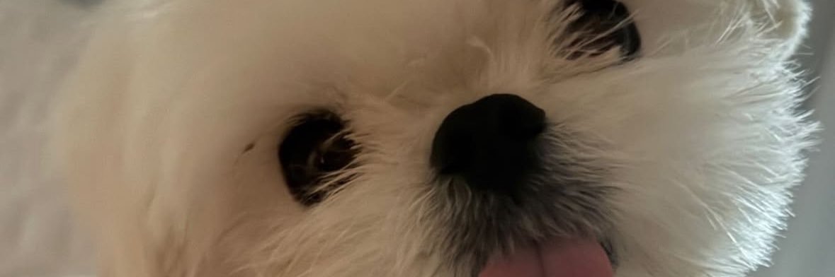 volatility_chan's profile banner image