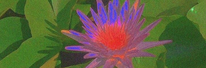 🔞mpreg (moved to BlueSky) banner