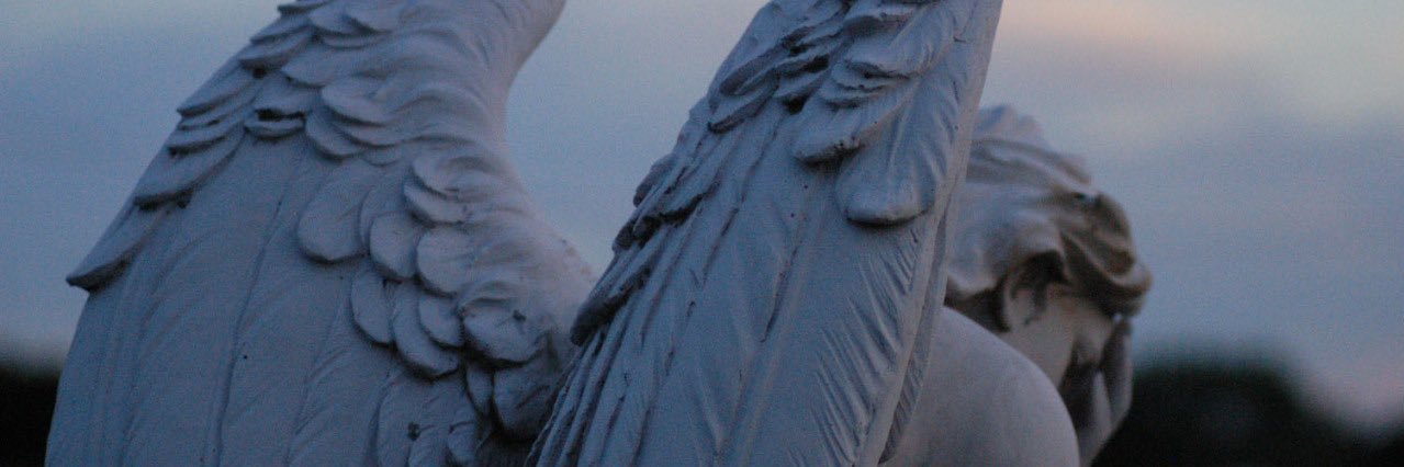 _marlpz's profile banner image