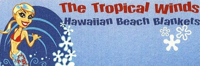 BeachBlankets's profile banner image