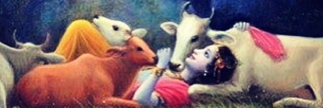 Thakur Pranav banner