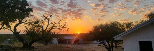 MITCH99WILLIAMS Profile Banner