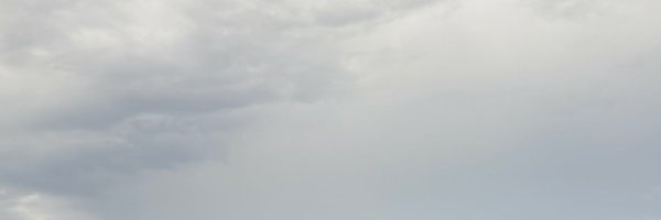 reesejstone Profile Banner