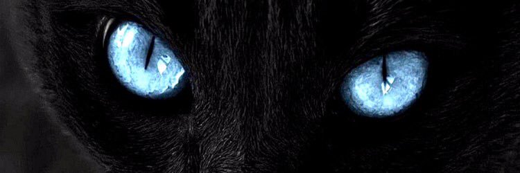 MarcoTrunzo's profile banner image