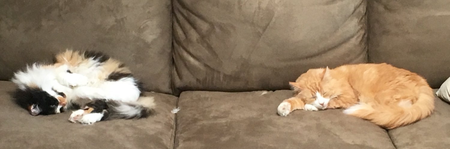 Joshber's profile banner image
