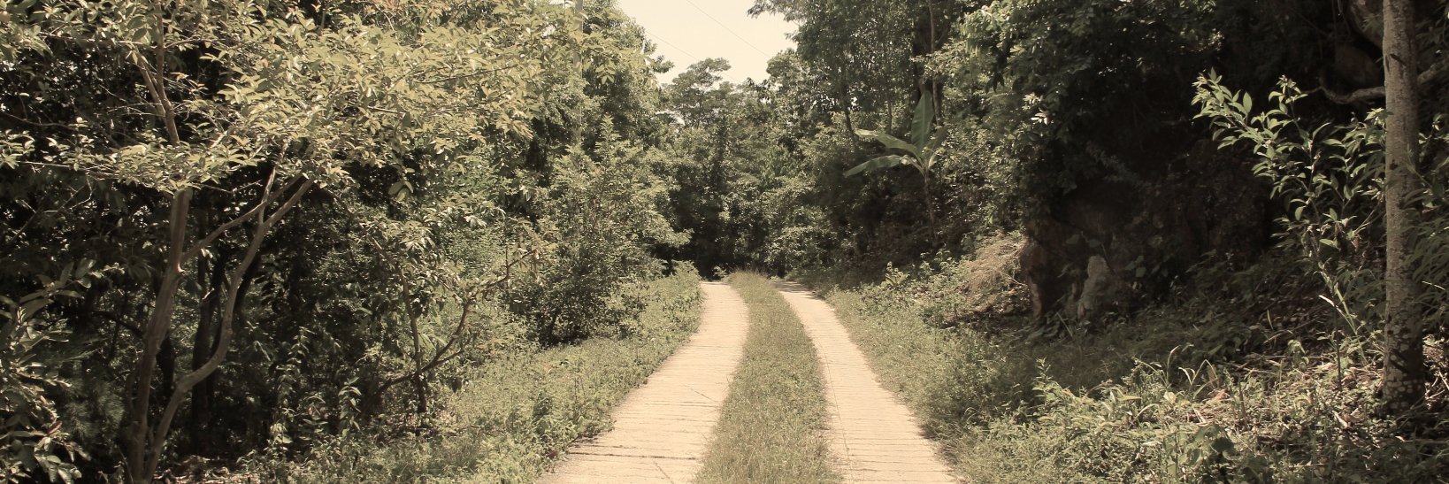 Ralph Thomassaint banner