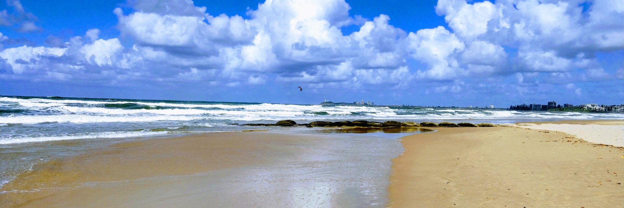 Prof Richard Davison banner