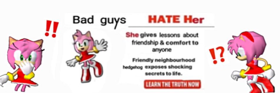 Daily Amy Rose 🌸 banner