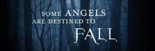 The Fallen Series banner