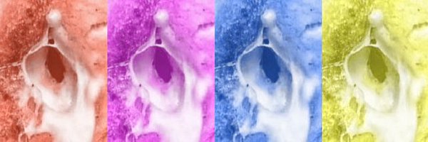 tradeseshpod Profile Banner