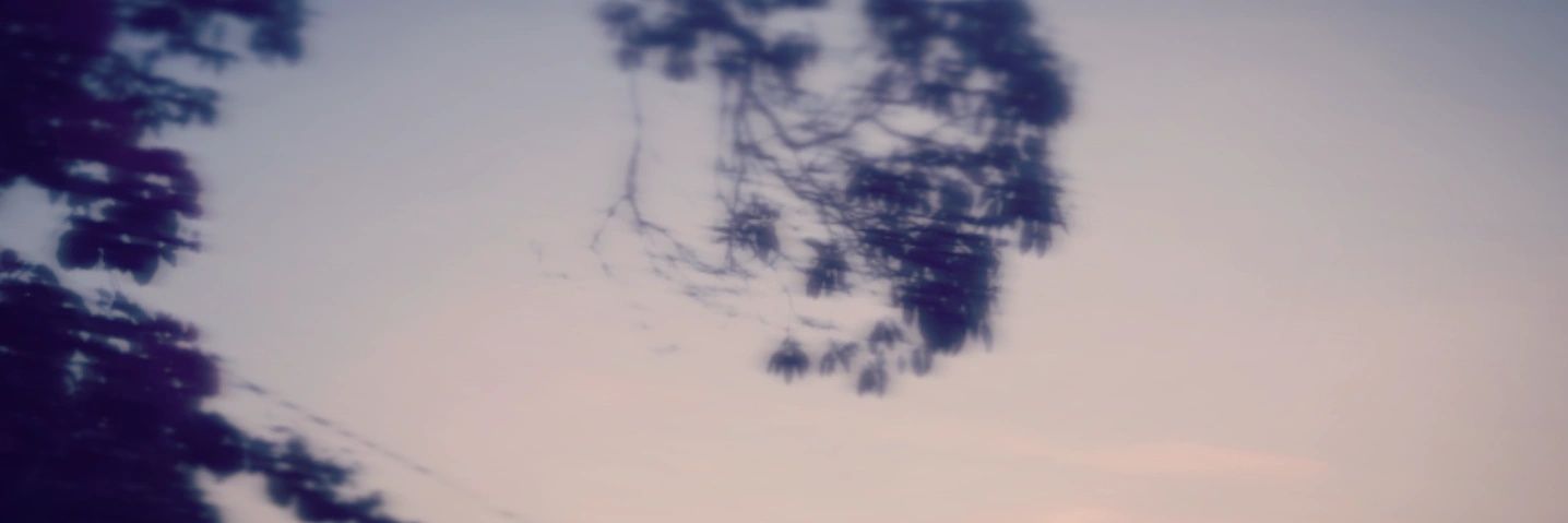 ciotick's profile banner image