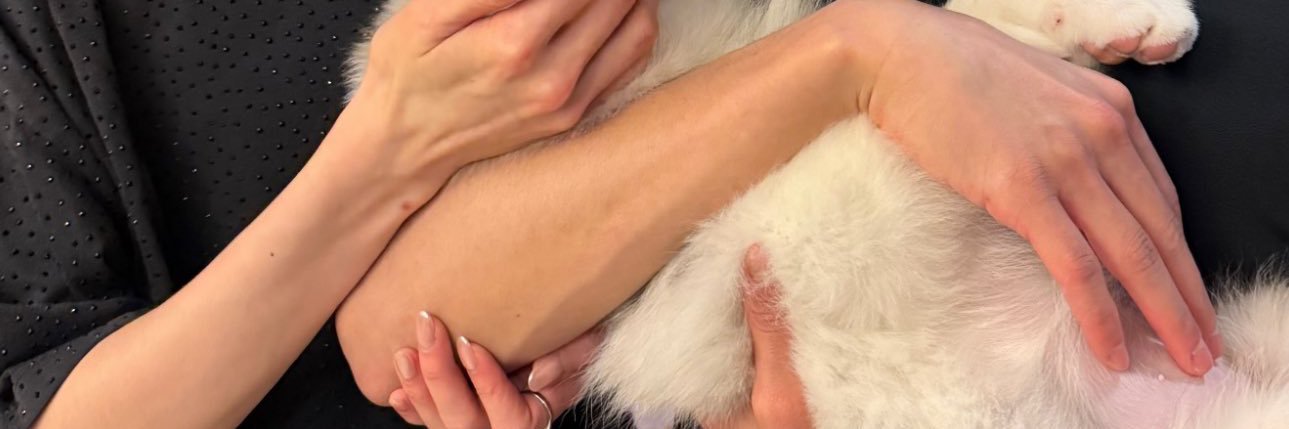 meownongpp's profile banner image