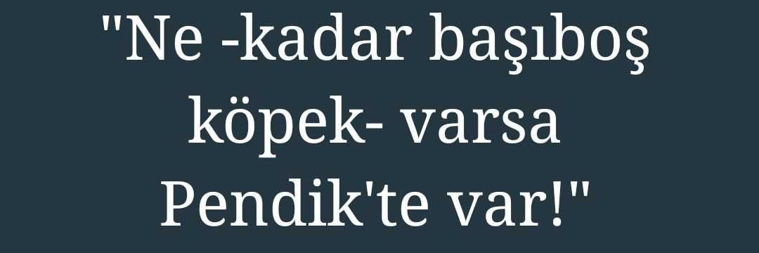 Pendik'te Başıboş Köpek Sorunu banner